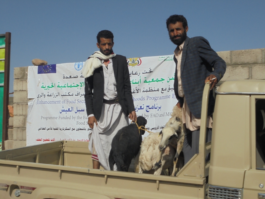 تعزيز الامن الغذائي وصمود سبل العيش 10-2019