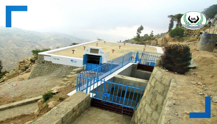 ‫‫IMG_0086 – نسخة – نسخة